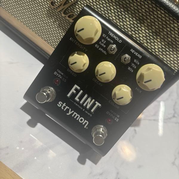 STRYMON FLINT V1 | TryOut STRYMON FLINT V1 | TryOut